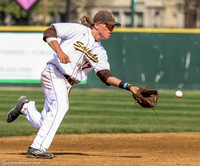 University of St Francis College Baseball