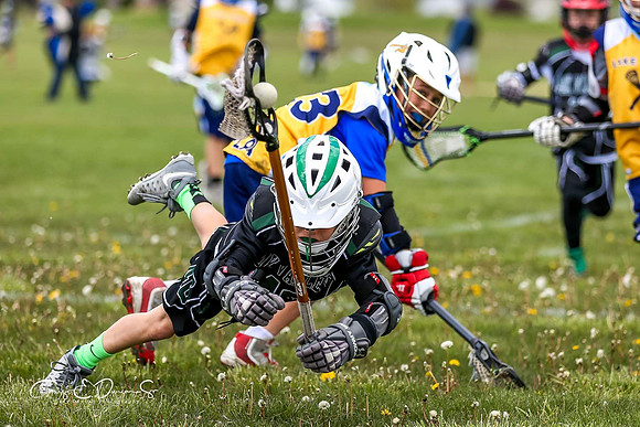 Lacrosse
