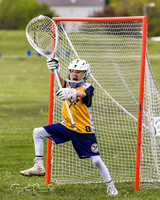 Lacrosse