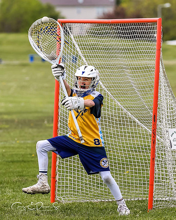 Lacrosse
