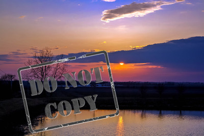 Pond Sunset