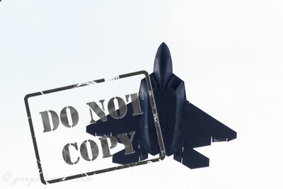 F-22 Raptor - Chicago Air and Water Show 2014