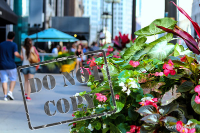 Sidewalk View